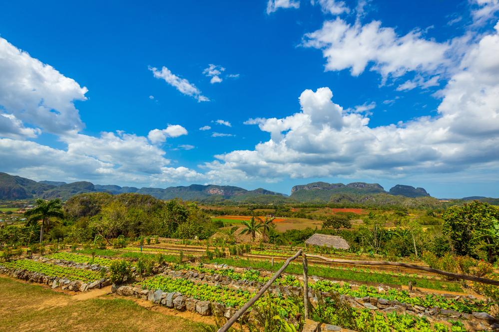 Finca Agroecológica El Paraíso