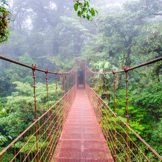 Hängebrücken im Monteverde Nationalpark