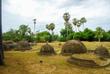 Feld voller Stupas