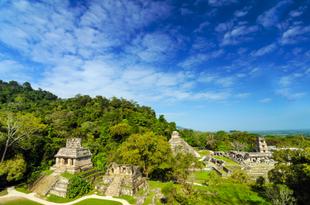 Palenque Panorama