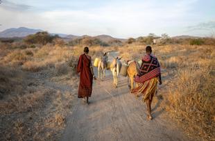 Frauen des Datoga Stammes, die mit Wasser vom Brunnen nach Hause gehen