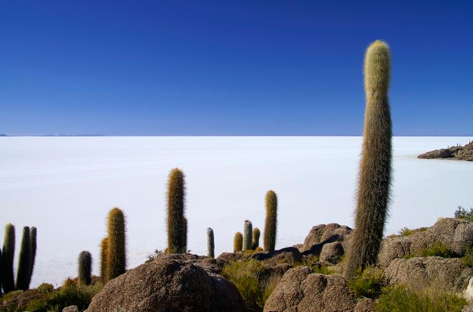 Uyuni Salzwüste in Bolivien