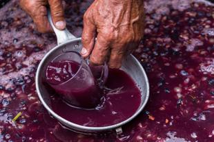 Weinproduktion in Moldawien