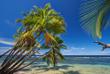 Isla Bastimentos