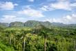 Blick über das Viñales Tal
