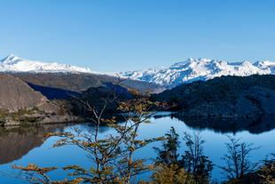 Lago Grey 