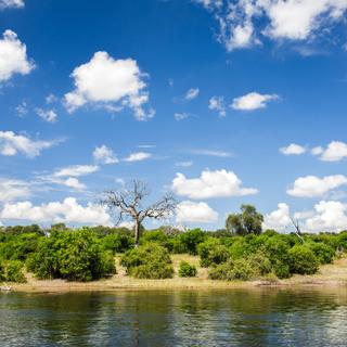 Chobe Nationalpark