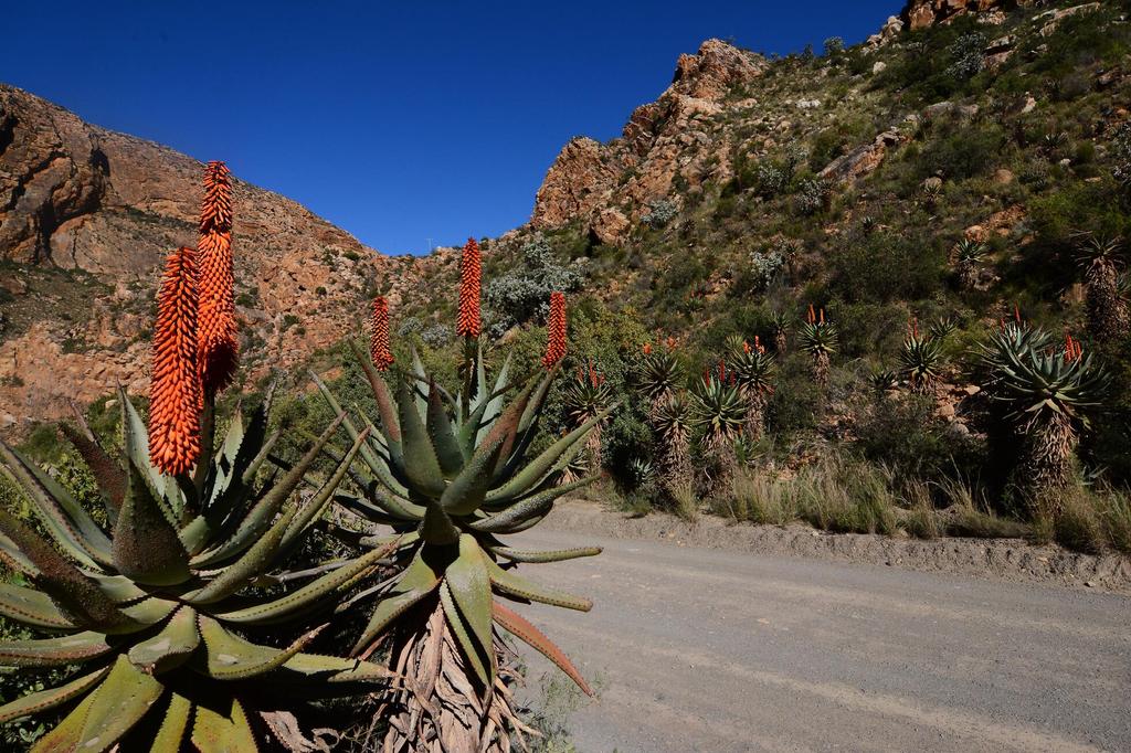 Seweweekspoort