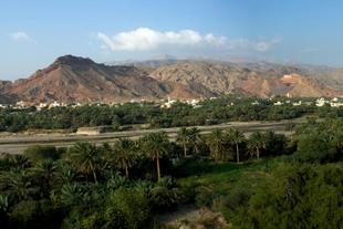 Fanja Panorama