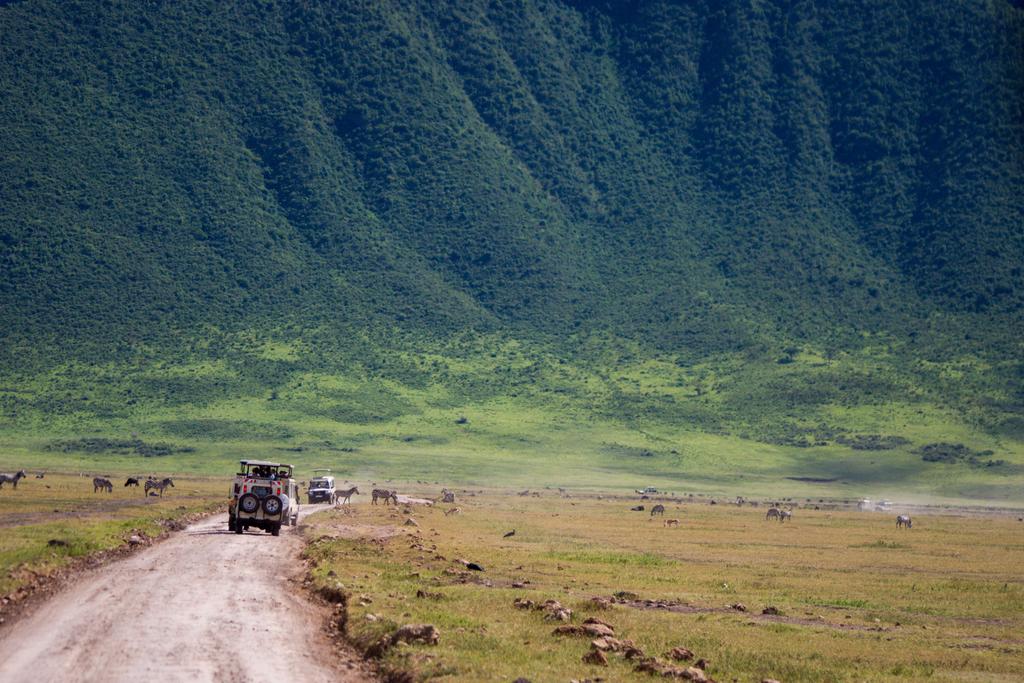 Ngorongoro Krater