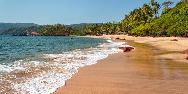 Palmaenstrand in Goa