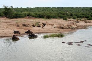 Kazinga Kanal 