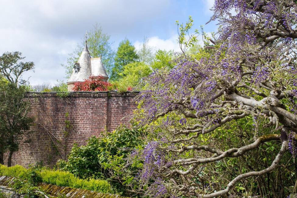 Trelissick Gardens