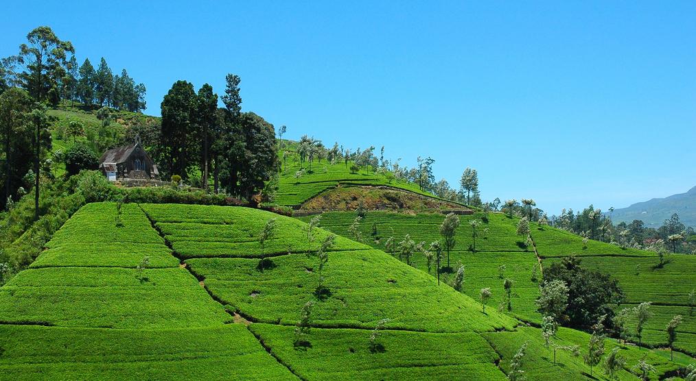 Sri Lanka Rundreise 