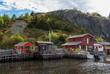 Quidi Vidi