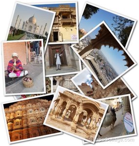 Rajasthan 2020 Collage