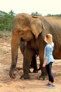 Elefantenwaisenhaus-Anuradhapura, Sri Lanka
