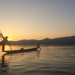 Einbeinruderer, Myanmar