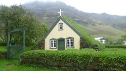 Begrüntes Dach auf Island