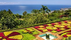 Botanischer Garten Funchal, Madeira