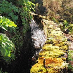 Natur auf Madeira