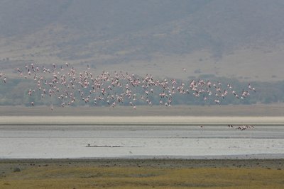 Ngorongoro-Krater, Tansania