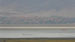 Ngorongoro-Krater, Tansania