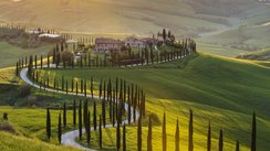 Toskana Gruene Landschaft in der Toskana, Italien