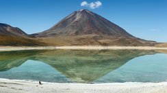 Avaroa Andean Fauna National Reservat, Bolivien