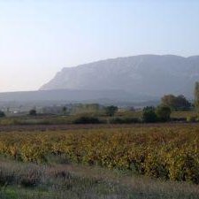 Felder in der Provence