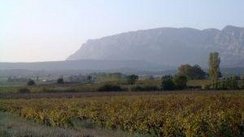 Felder in der Provence