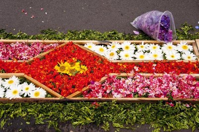 Blumenfest in Funchal mit Blumenteppich, Madeira