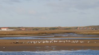 Wattenmeer Spiekeroog 