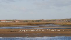 Wattenmeer Spiekeroog 
