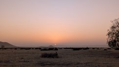 Sonnenuntergang auf der Guest Farm