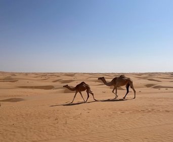 Oman Geheimtipps