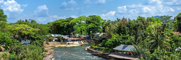 Sumatra: Bukit Lawang