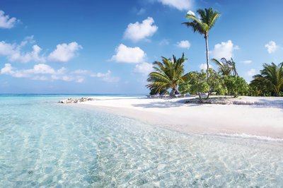 Küste mit Palmen, Malediven