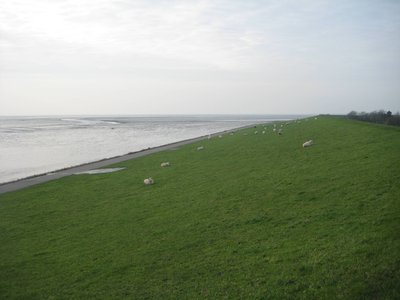 Grasstrand Nordsee