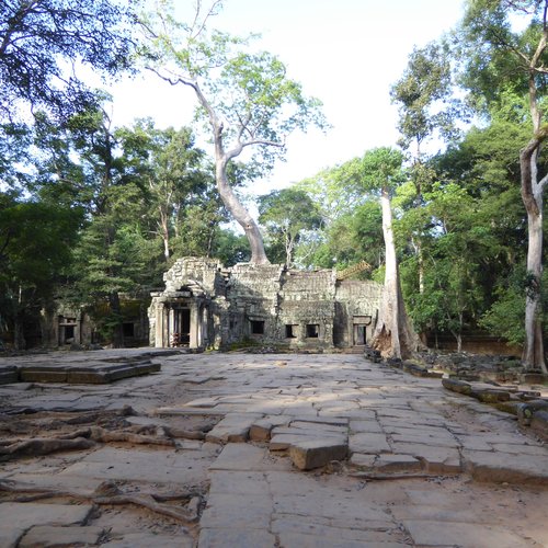 Ta Prohm Tempel Dschungeltempel Gesicht im Baum, Kambodscha