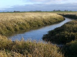 Deichlandschaft Nordsee