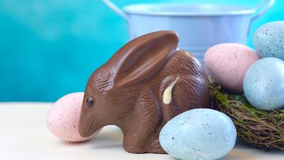 Australischer Schoko-Bilby