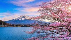 Herbstlaubfaerbung Fuji, Japan 