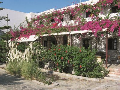 Terrasse mit Blumen, Patmos 