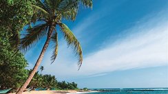Strand, Sri Lanka