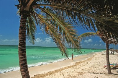 Palme und Strand, Kuba