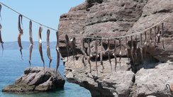 Tintenfische in der Sonne, Molyvos