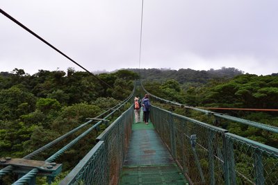 Monteverde Hängebrücke, Berichte von unterwegs Costa Rica