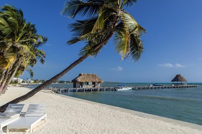 Belize Strand mit Palmen