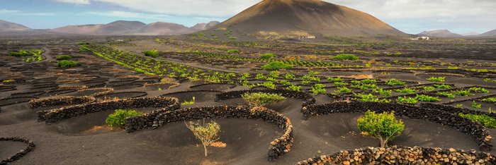 Kanaren: Lanzarote Weinabaugebiet La Geria